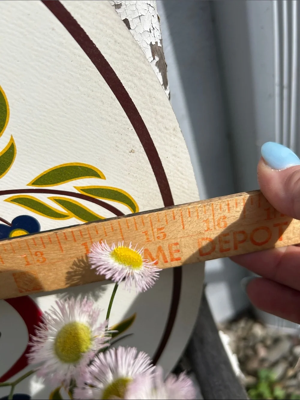 Bless This House Pennsylvania Dutch Hex Sign